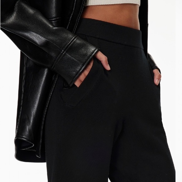 Aritzia rodin knit joggers - Picture 3 of 13